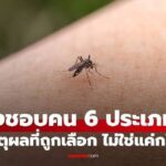 6 Typů lidí, které komáři mají nejraději: Proč si nás vybírají?