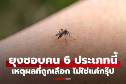 6 Typů lidí, které komáři mají nejraději: Proč si nás vybírají?