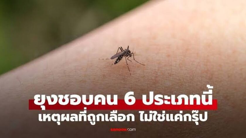 6 Typů lidí, které komáři mají nejraději: Proč si nás vybírají?