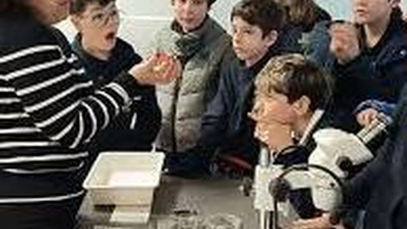 Cantanhede: Děti si uvědomují důležitost zachování půdy