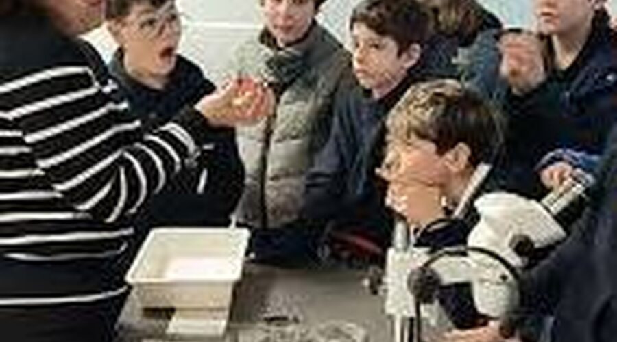 Cantanhede: Děti si uvědomují důležitost zachování půdy