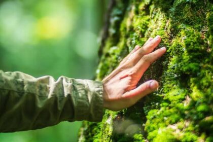 Člověk je stvořen pro přírodu, nikoli pro moderní život