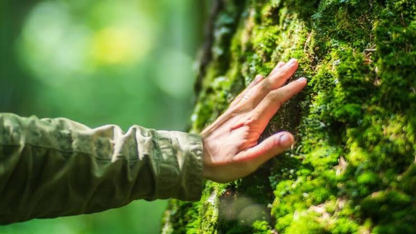 Člověk je stvořen pro přírodu, nikoli pro moderní život