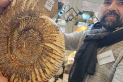 Hledání fosilií v Haguenau: Lov na poklady, který je stále obtížnější