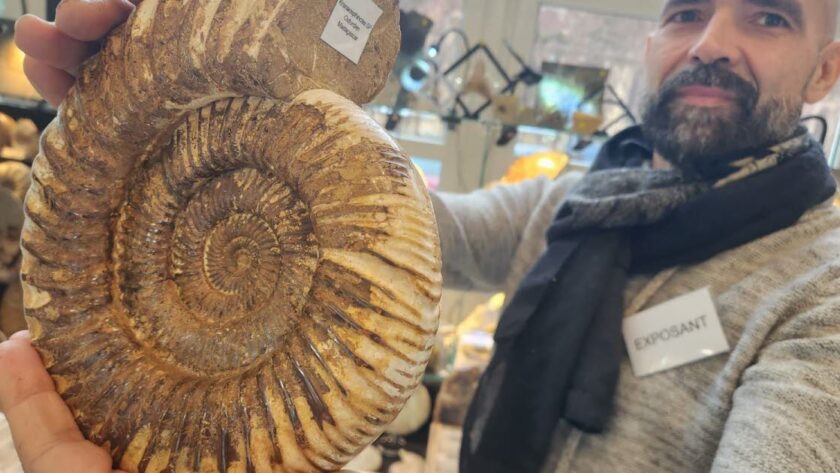 Hledání fosilií v Haguenau: Lov na poklady, který je stále obtížnější