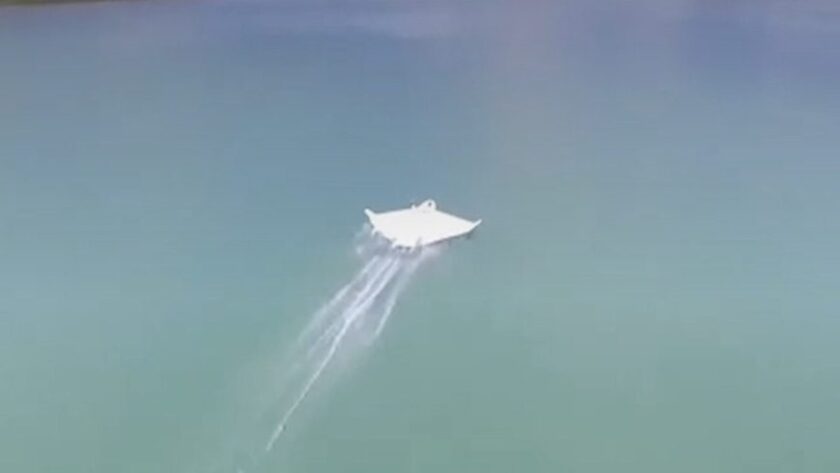 Inovace v Amazonii: Aeroriver a revoluce v dopravě