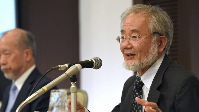 Klíčové výzvy japonského výzkumu: Výzva od profesora Ōsumiho