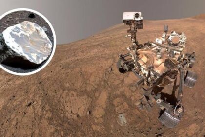 Mars-Fund lässt erstaunlichen Schluss zu: Gab es dort einst eine Art tropischen Regenwald?
