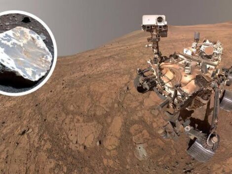 Mars-Fund lässt erstaunlichen Schluss zu: Gab es dort einst eine Art tropischen Regenwald?