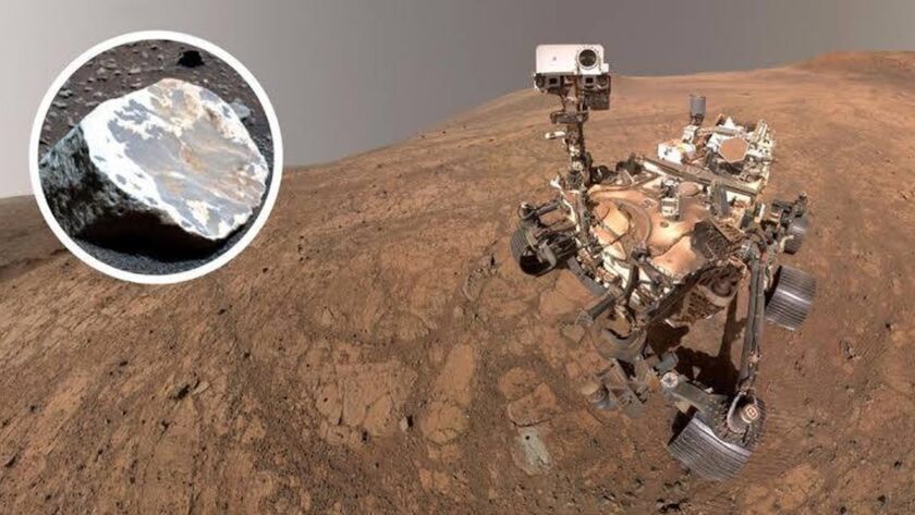 Mars-Fund lässt erstaunlichen Schluss zu: Gab es dort einst eine Art tropischen Regenwald?