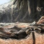 Neobvyklá historie starobylých včel v jeskyni na Hispaniole