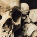 Nové poznatky o evoluci Homo sapiens v Africe