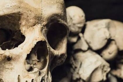 Nové poznatky o evoluci Homo sapiens v Africe