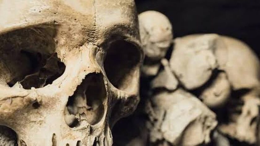 Nové poznatky o evoluci Homo sapiens v Africe