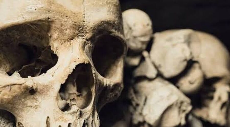 Nové poznatky o evoluci Homo sapiens v Africe