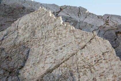 Objevení největšího souboru dinosaurích stop v italském národním parku