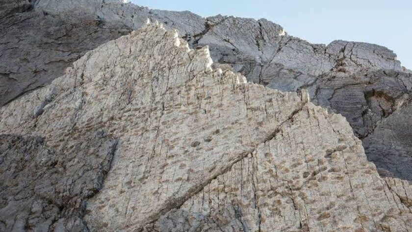 Objevení největšího souboru dinosaurích stop v italském národním parku