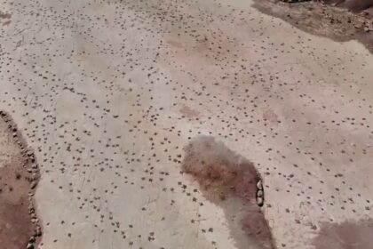 Objev na Bolívii: Největší naleziště dinosauřích stop