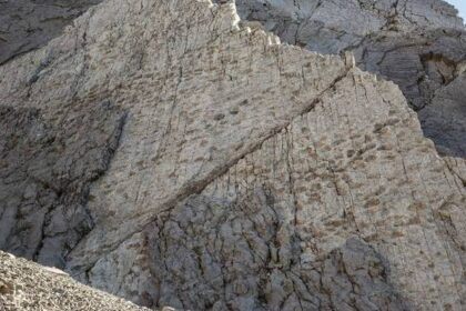 Objev stop dinozaurů starých 200 milionů let v italských Alpách