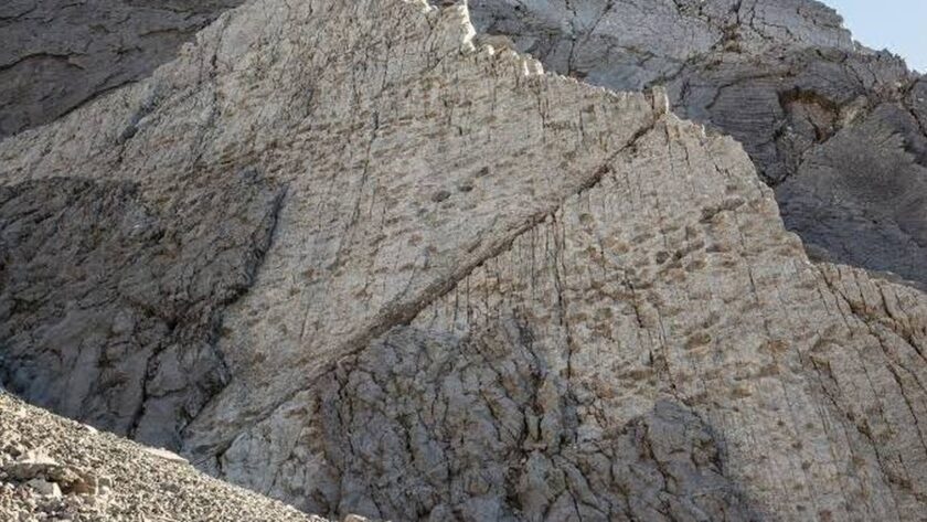 Objev stop dinozaurů starých 200 milionů let v italských Alpách