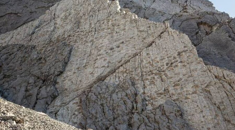 Objev stop dinozaurů starých 200 milionů let v italských Alpách