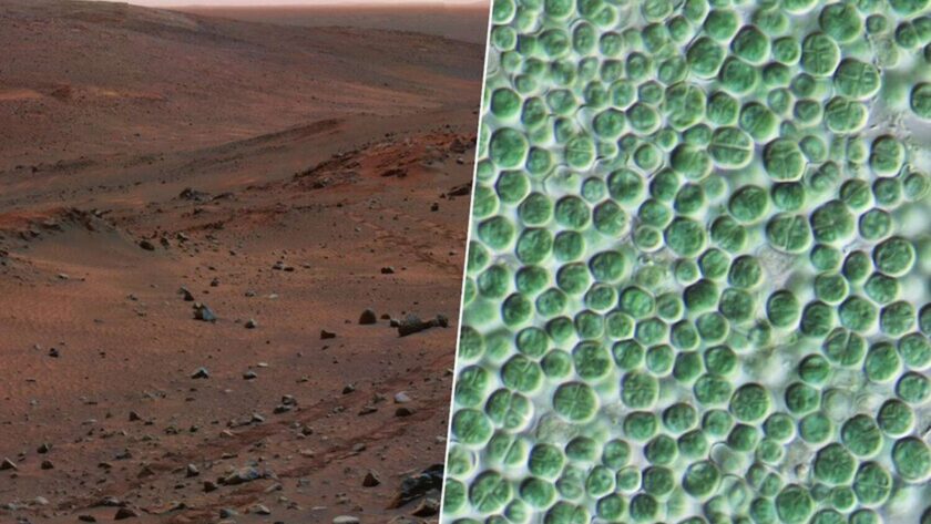 Obsession pour Mars: Comment des bactéries peuvent transformer le régolithe en béton