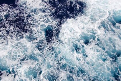 Oceán přestal dýchat: Bezprecedentní jev postihuje vody Panamy