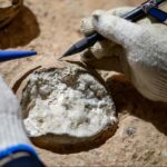 První přímé datování dinosaurích vajec