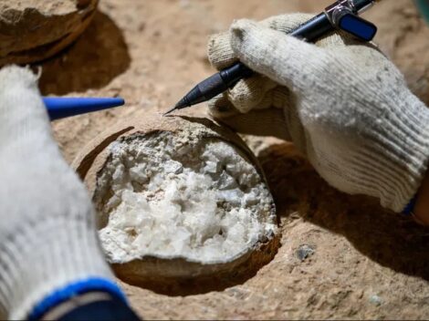 První přímé datování dinosaurích vajec