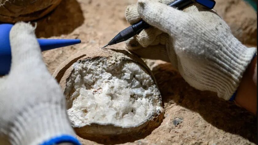 První přímé datování dinosaurích vajec