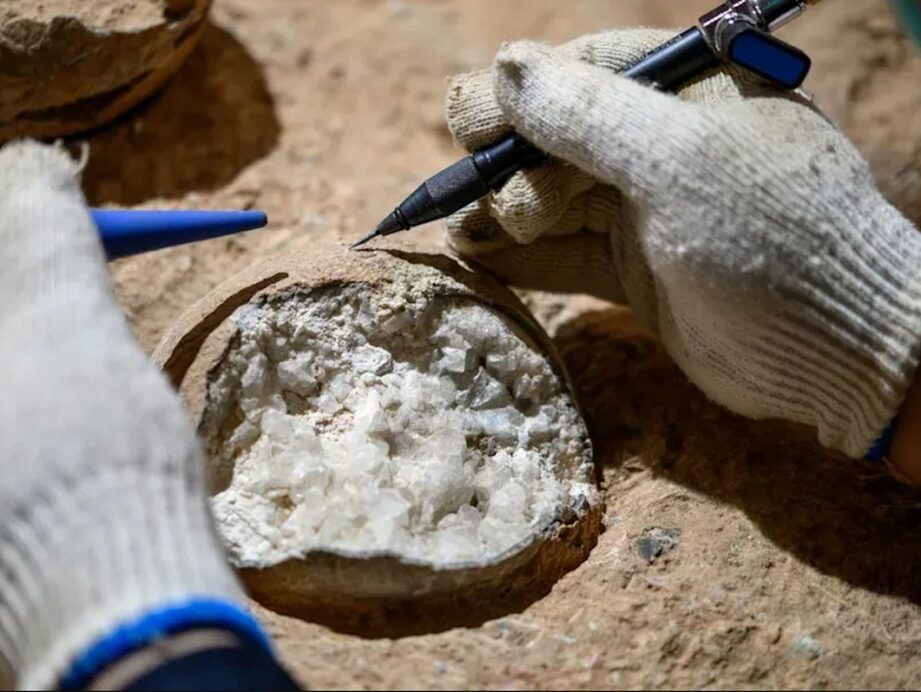 První přímé datování dinosaurích vajec