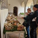 Quartu: 300 druhů hub na výstavě pro bezpečnost a vzdělávání