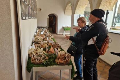 Quartu: 300 druhů hub na výstavě pro bezpečnost a vzdělávání