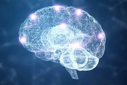 Reprodukce Cerebrální Kůry: Nové Možnosti a Výzvy