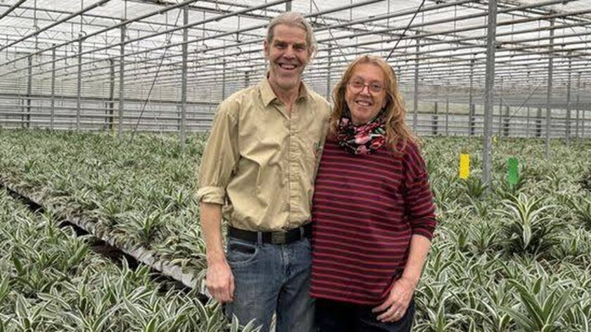 Ruud a Agnes Scheffers: Konec Řady po Čtyřiceti Letech s Drakoničkami