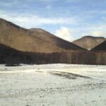 Starověký DNA a Příběh Pastevců v Calabria