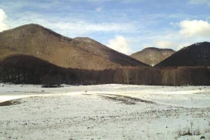 Starověký DNA a Příběh Pastevců v Calabria