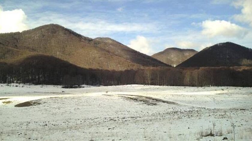 Starověký DNA a Příběh Pastevců v Calabria