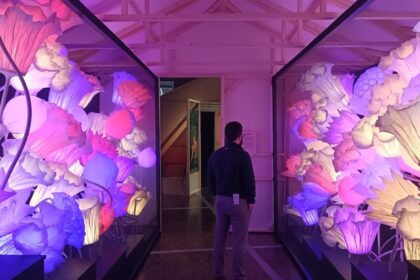 Strategie konvalinky a brutální zelí z Bruselu: skrytá věda zahradničení