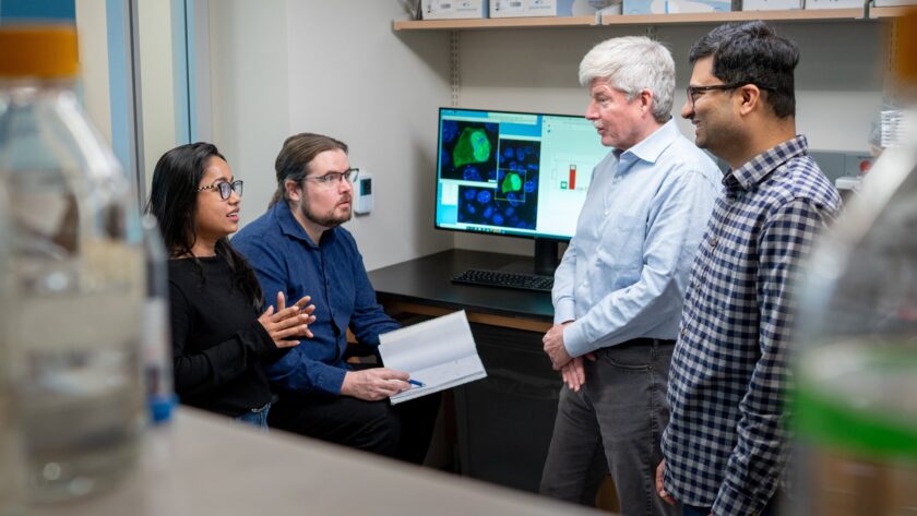 Strojové učení odhaluje, jak neuspořádané proteinové oblasti přispívají k tvorbě kondenzátů způsobujících rakovinu