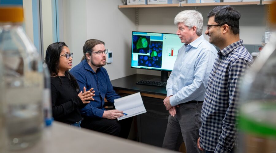 Strojové učení odhaluje, jak neuspořádané proteinové oblasti přispívají k tvorbě kondenzátů způsobujících rakovinu