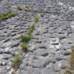 Tataruga v útěku z Monte Conero: Stopy po panice během zemětřesení