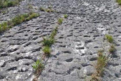 Tataruga v útěku z Monte Conero: Stopy po panice během zemětřesení