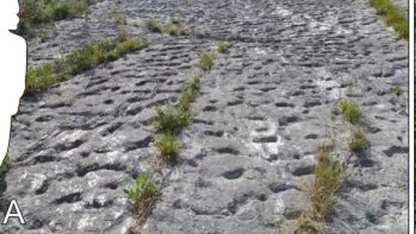 Tataruga v útěku z Monte Conero: Stopy po panice během zemětřesení