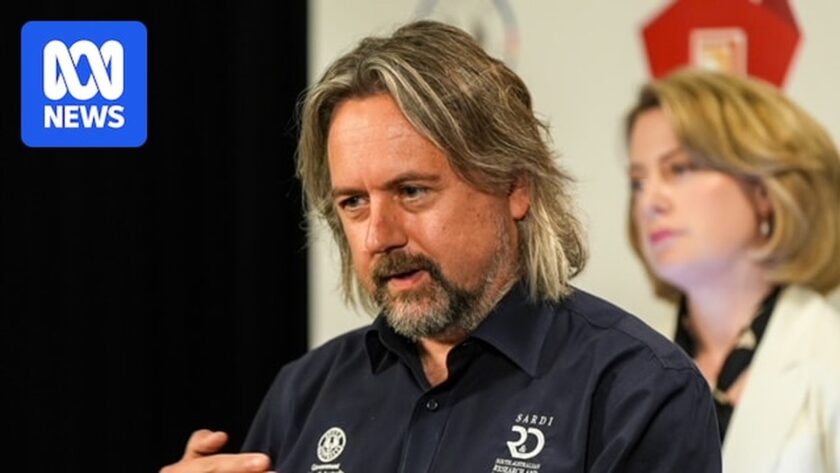 Testování řasových květin ukazuje pozitivní známky před vrcholem letních teplot