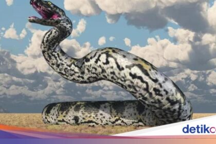 Titanoboa: Největší had v historii Země