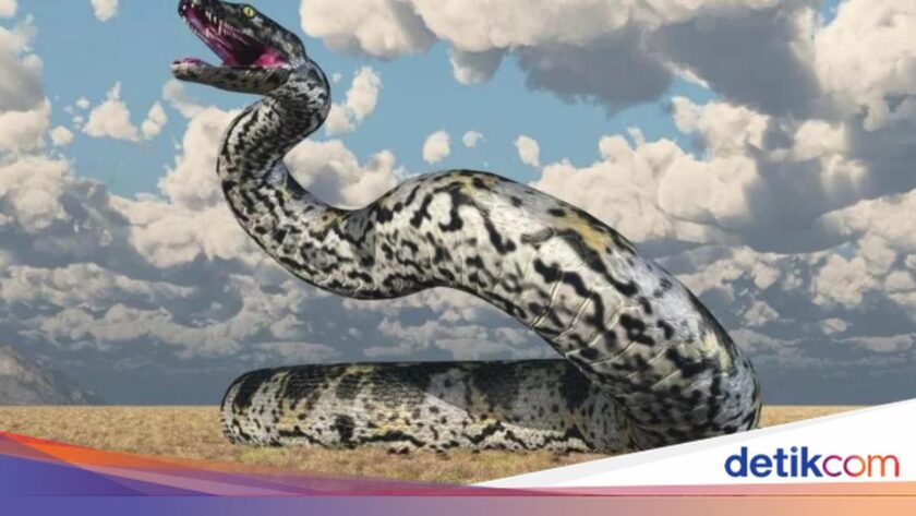 Titanoboa: Největší had v historii Země