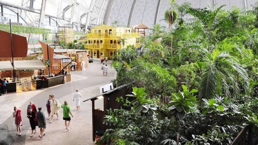 Tropický ráj v Německu – největší krytý deštný prales na světě