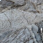 Václav dinosaurov: Objev tisíců stop v italských Dolomitech