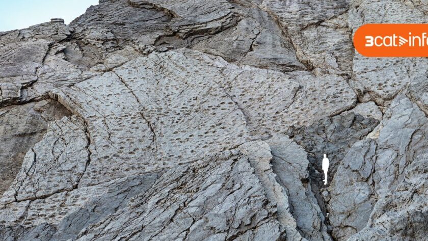 Václav dinosaurov: Objev tisíců stop v italských Dolomitech